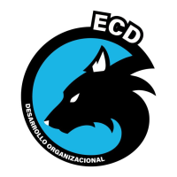 Aula - Universidad ECD